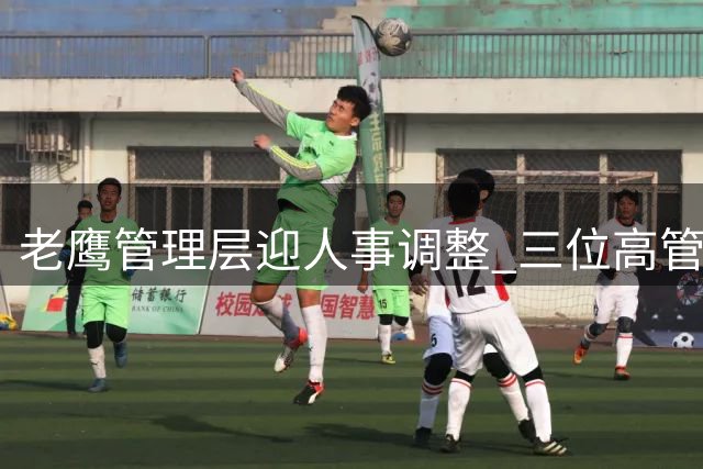 老鹰管理层迎人事调整 三位高管任命案同步公布